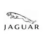 Jaguar voice-over client